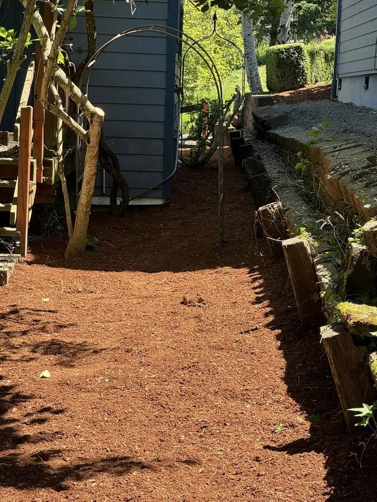 Professional lawn care service experts serving Castle Rock, WA - Grimm Yard & Home Repair