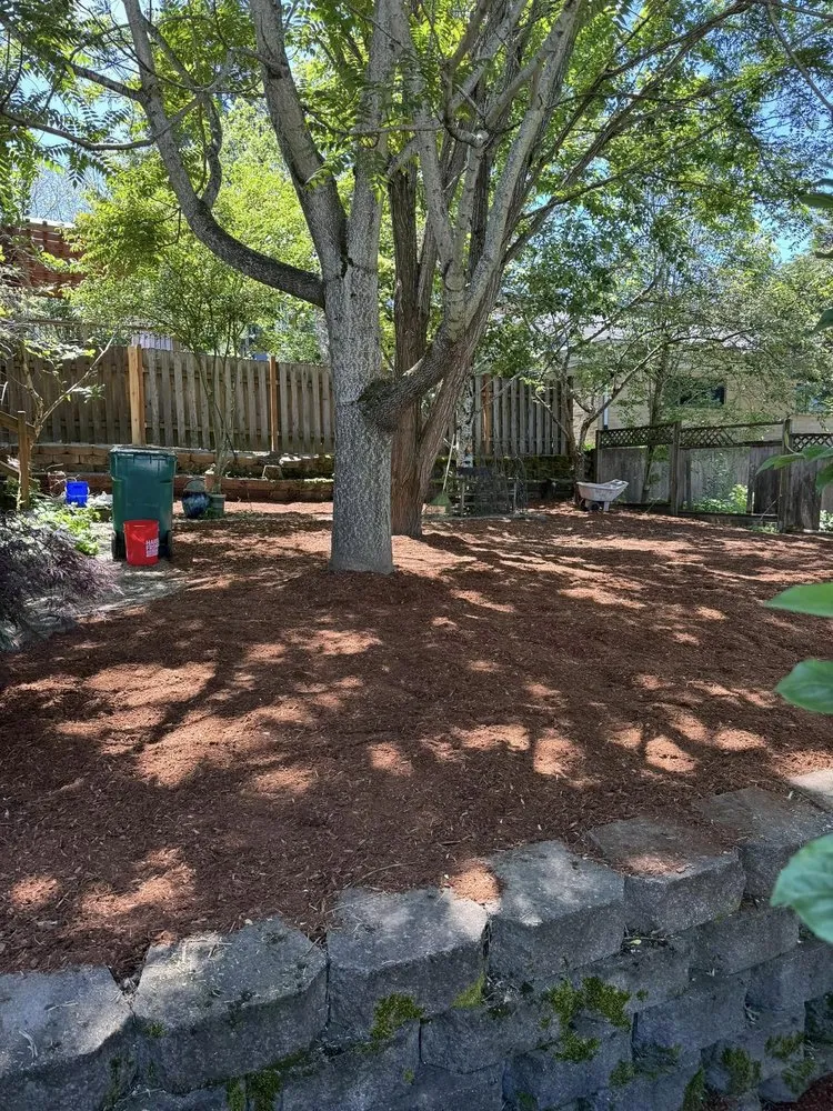 Professional lawn care service for beautiful yards across Castle Rock, WA - Grimm Yard & Home Repair