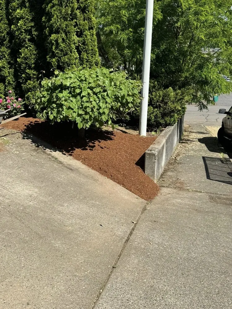Reliable garden landscaping in Castle Rock, WA - Grimm Yard & Home Repair