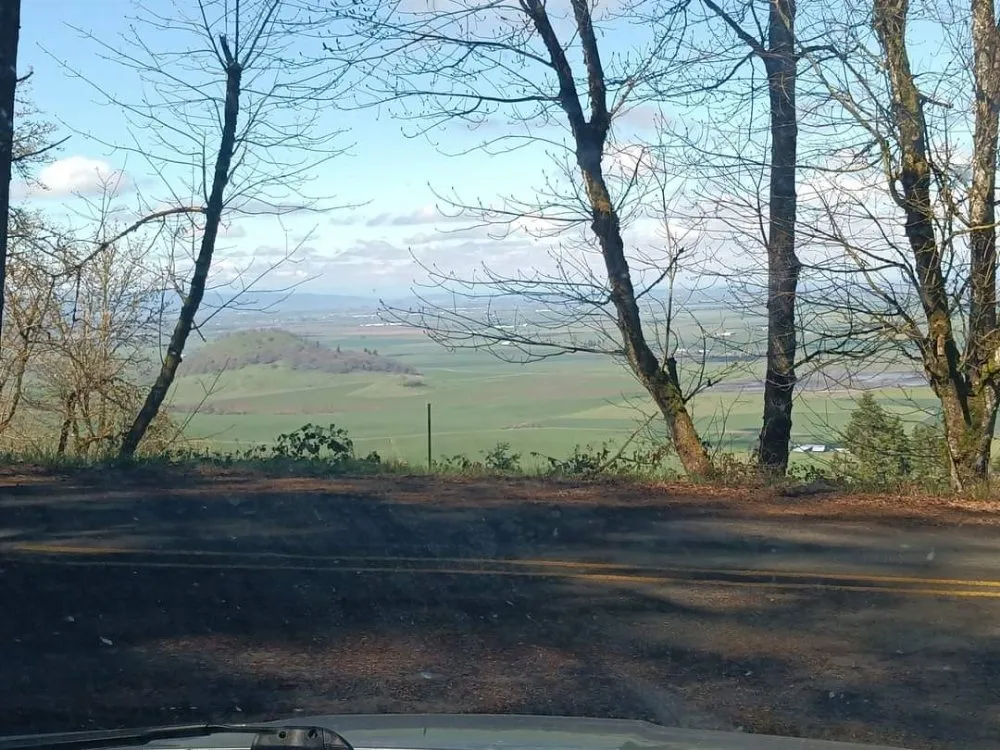 Professional outdoor landscaping experts serving Brownsville, OR - Grims Landscaping and Tree company