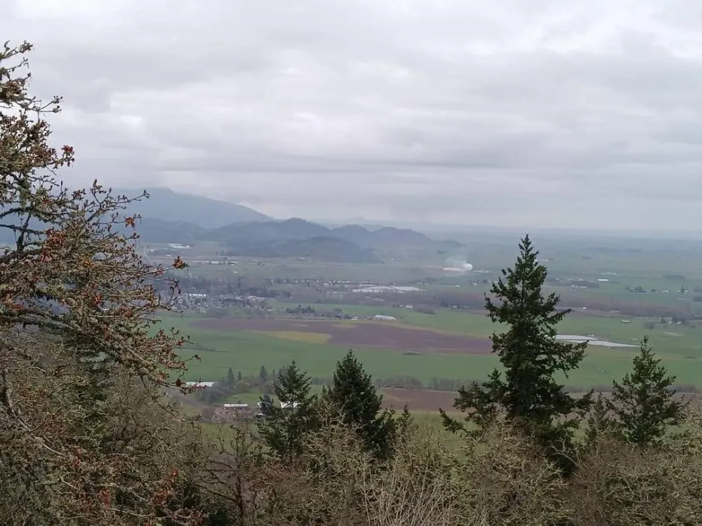 Reliable garden landscaping for outdoor upgrades across Brownsville, OR - Grims Landscaping and Tree company