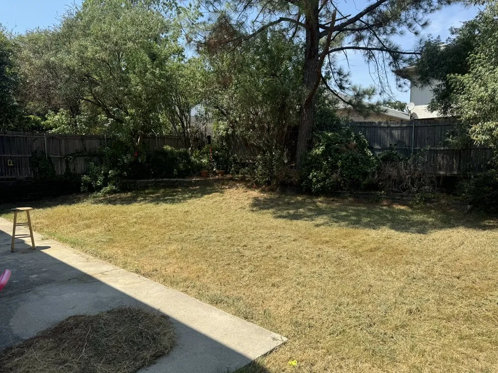 Top-rated landscaping services for homes in Lake Dallas, TX by Grimy Paws Pressure Washing & Outdoor Services