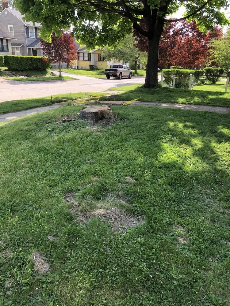 Local residential landscaping experts serving Fairlawn, OH - Grind & Go