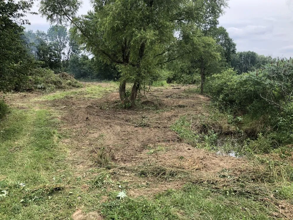 Top-rated landscaping services in Fairlawn, OH by Grind & Go