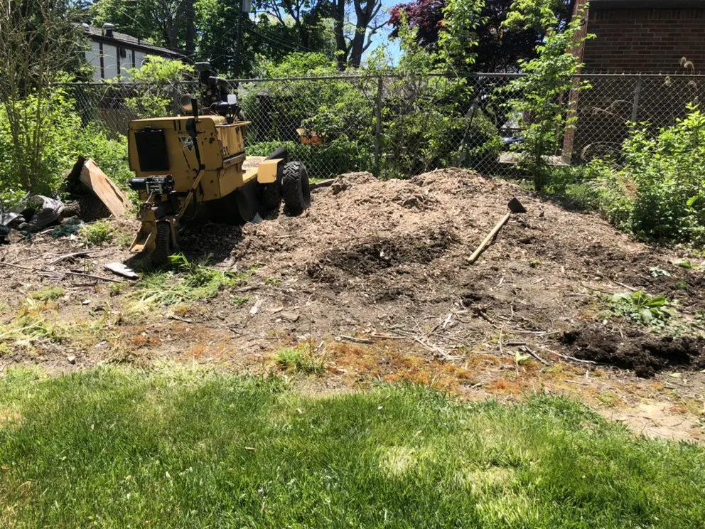 Top-rated lawn mowing service for year-round maintenance across Fairlawn, OH - Grind & Go