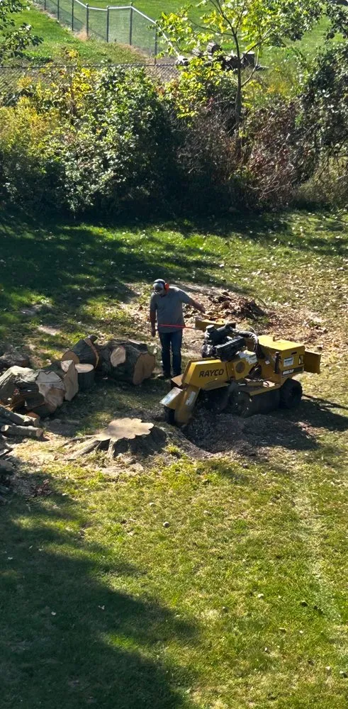 Trusted lawn care service in Charlotte, MI by Grind & Ground