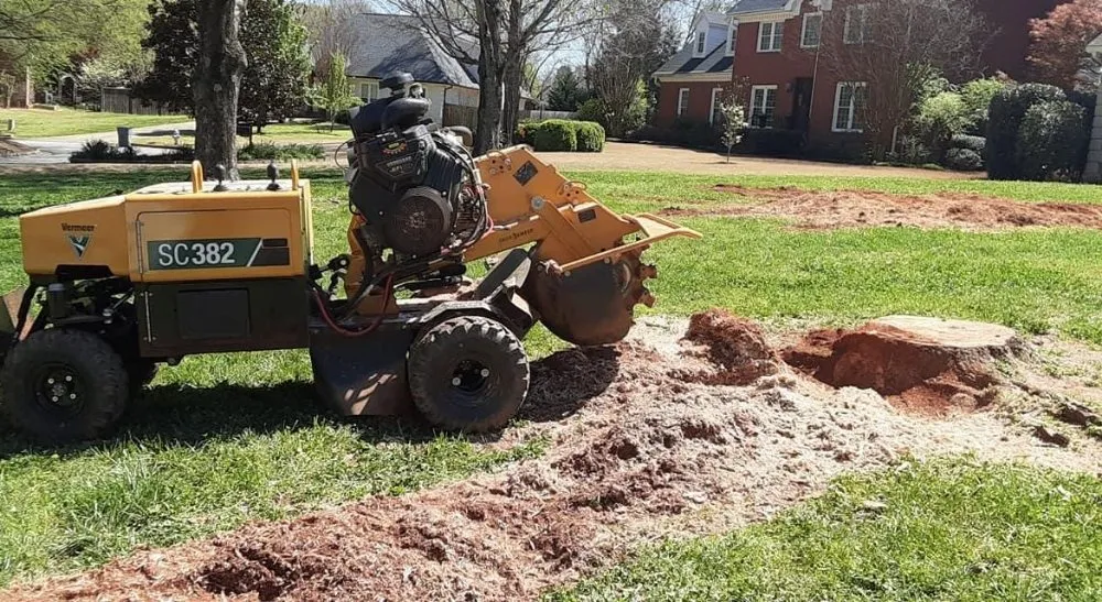Professional yard maintenance for year-round maintenance across Memphis, TN - Grind City Stump Removal