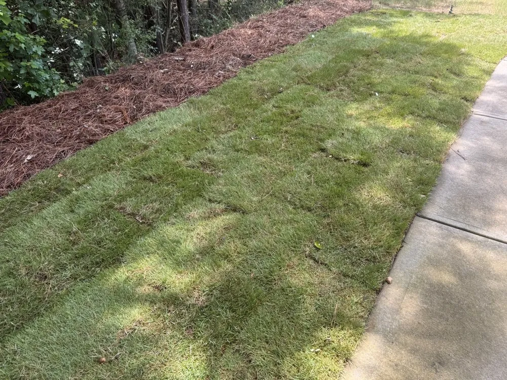 Top-rated residential landscaping in Oakwood, GA - Grind Pro