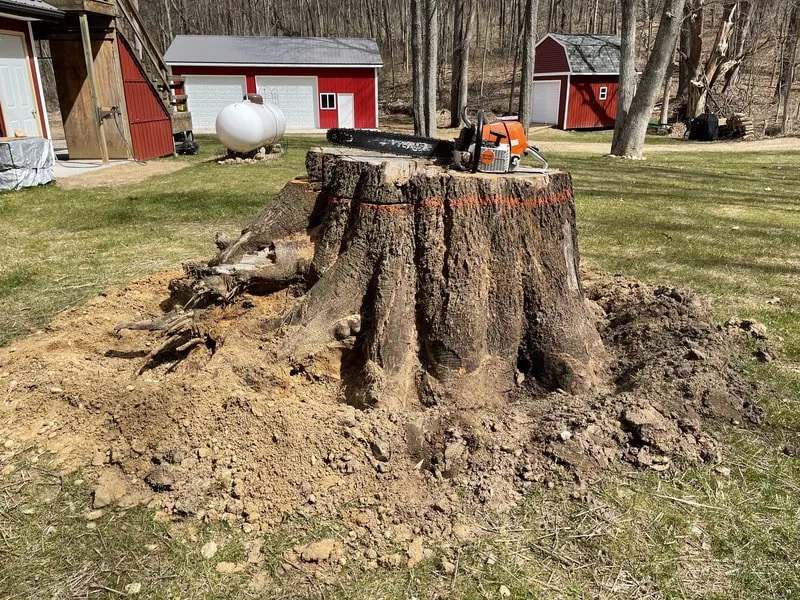 Local yard cleanup service experts serving Battle Creek, MI - Grind Time Stump Removal