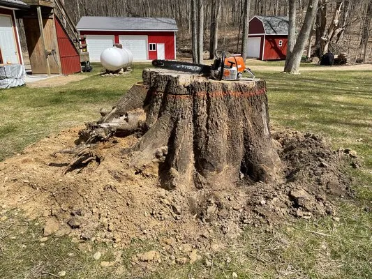 Grind Time Stump Removal Logo