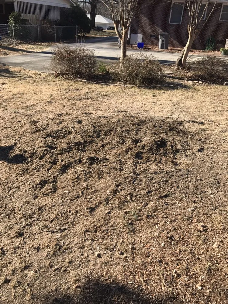 Affordable garden landscaping in Greenville, SC - Grind-Time Stump Removal