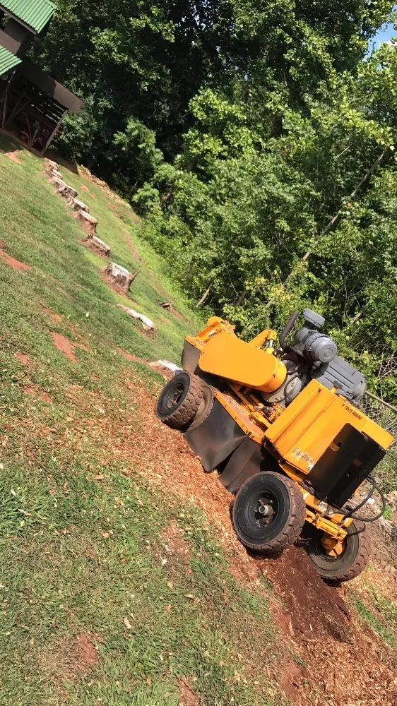Local lawn care service for outdoor upgrades across Greenville, SC - Grind-Time Stump Removal