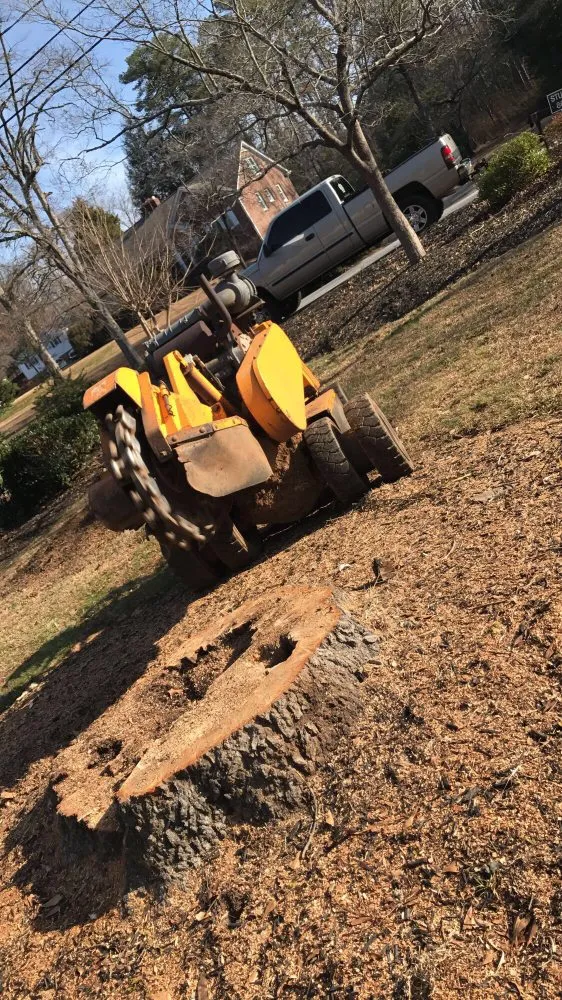 Top-rated residential landscaping in Greenville, SC by Grind-Time Stump Removal