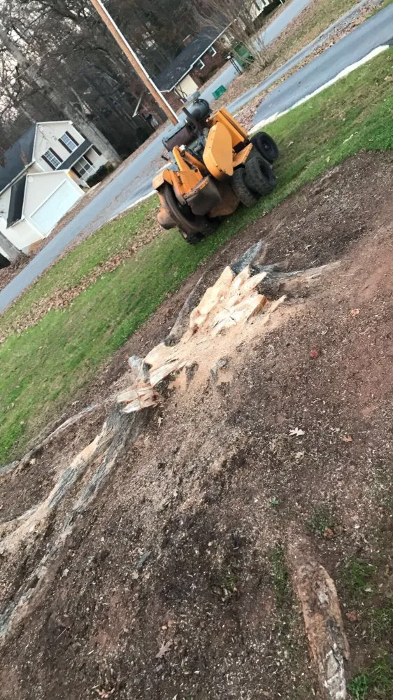 Expert lawn mowing service near you in Greenville, SC by Grind-Time Stump Removal