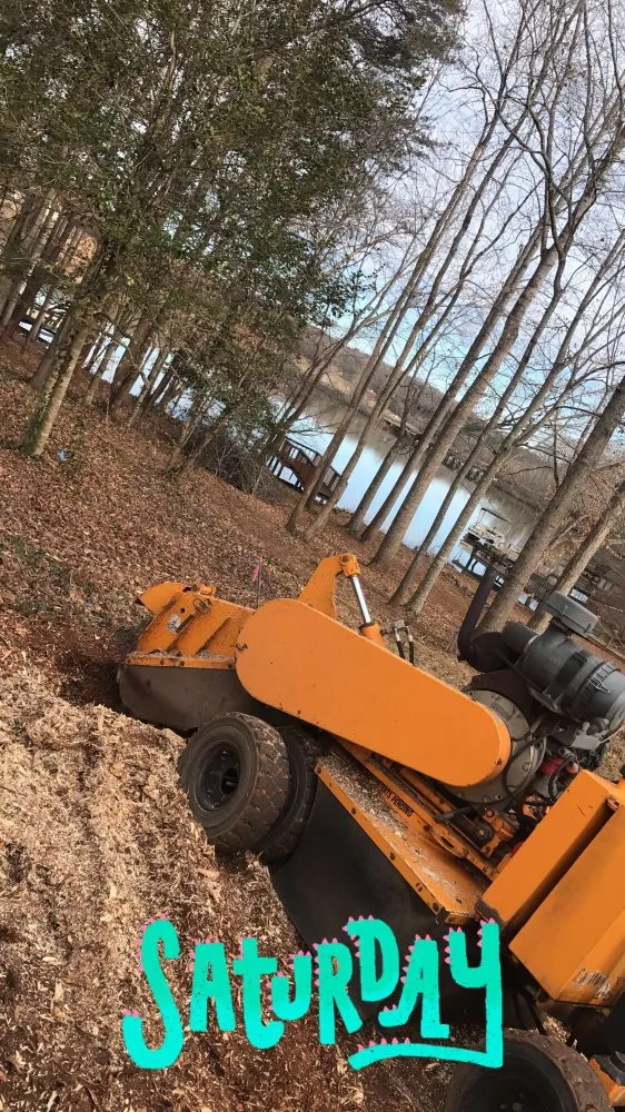 Trusted landscape installation in Greenville, SC - Grind-Time Stump Removal