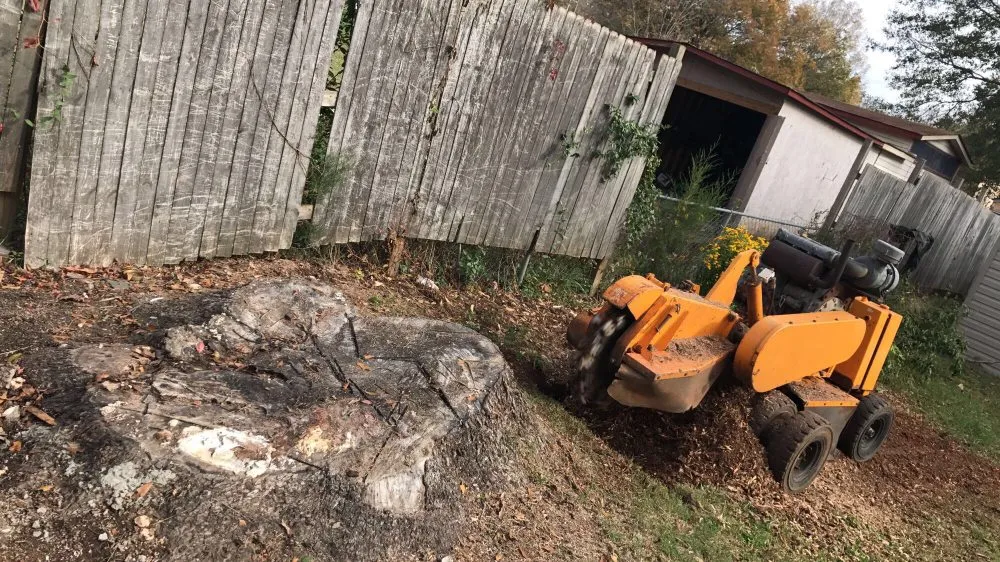 Affordable lawn care service for outdoor upgrades across Greenville, SC - Grind-Time Stump Removal