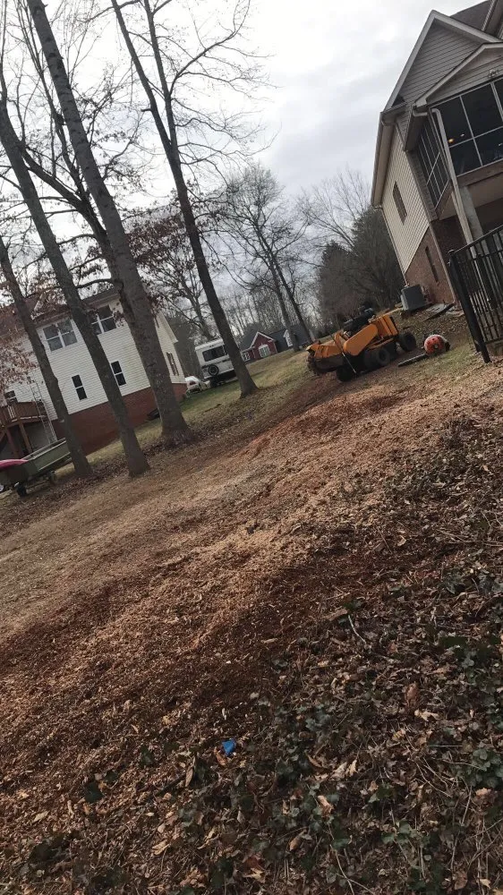 Trusted landscaping services in Greenville, SC - Grind-Time Stump Removal