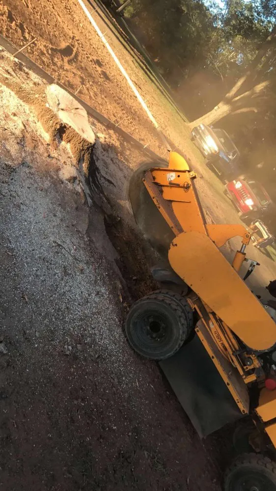 Professional residential landscaping for outdoor upgrades in Greenville, SC by Grind-Time Stump Removal