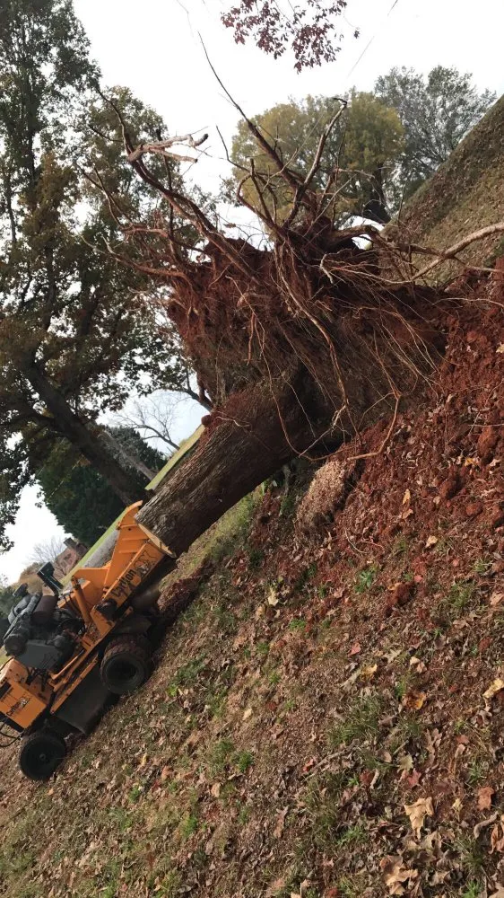 Expert residential landscaping for outdoor upgrades in Greenville, SC by Grind-Time Stump Removal