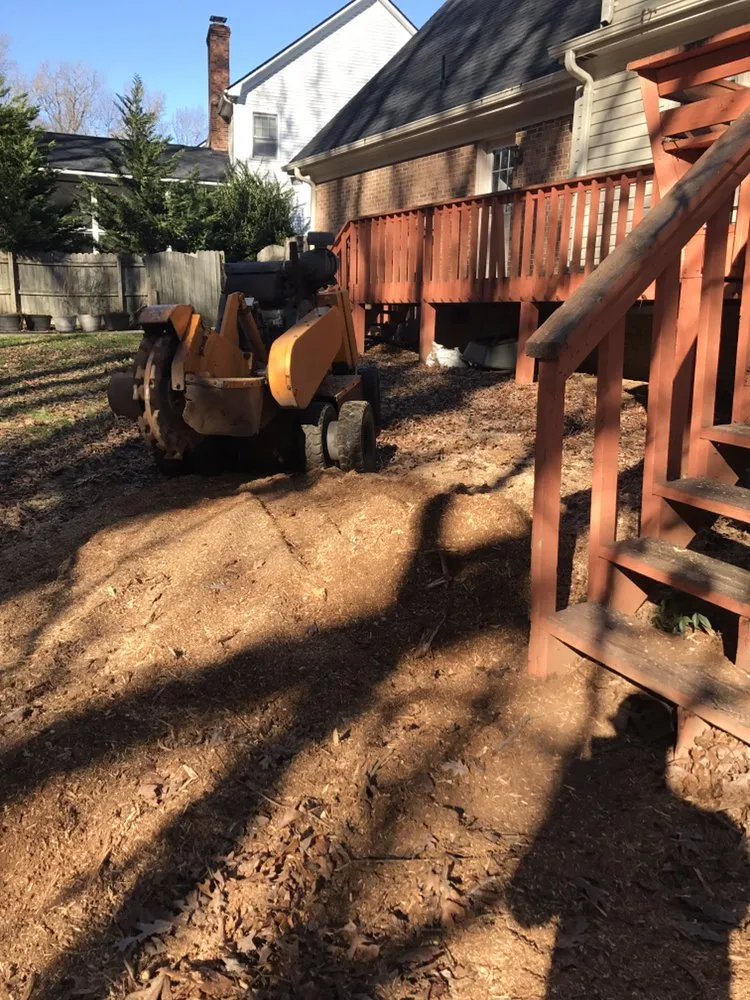 Custom landscaping services experts serving Greenville, SC - Grind-Time Stump Removal