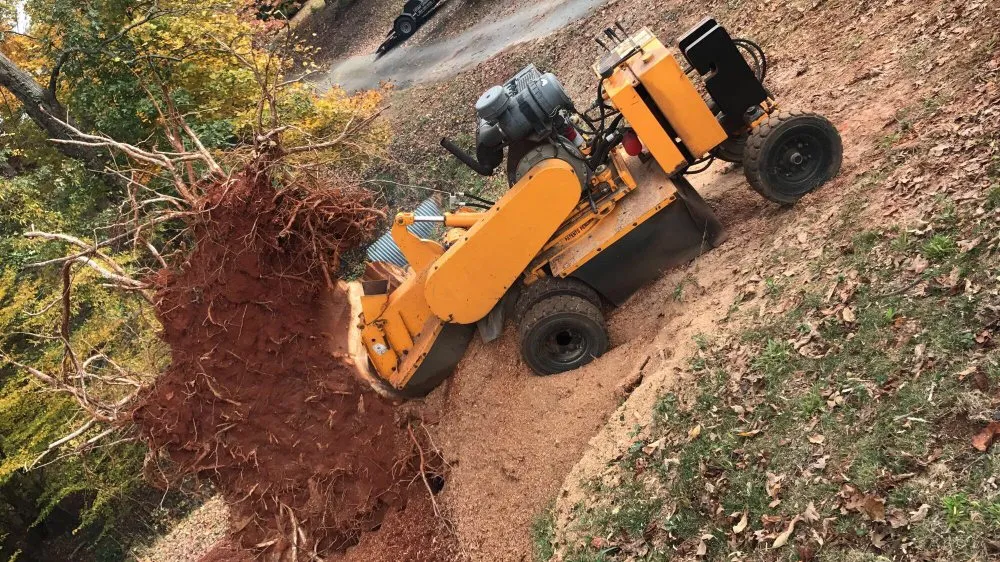 Custom lawn care service for outdoor upgrades across Greenville, SC - Grind-Time Stump Removal