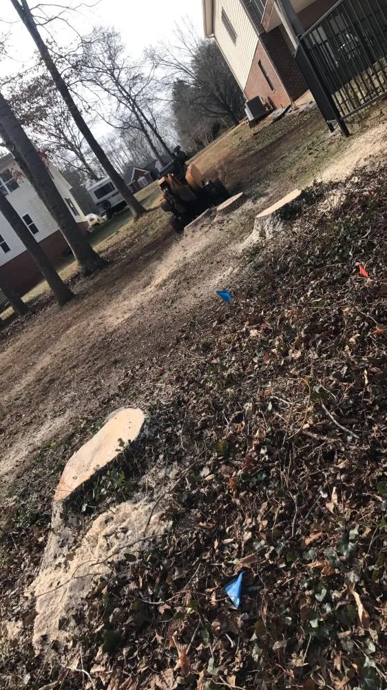 Trusted yard cleanup service in Greenville, SC - Grind-Time Stump Removal