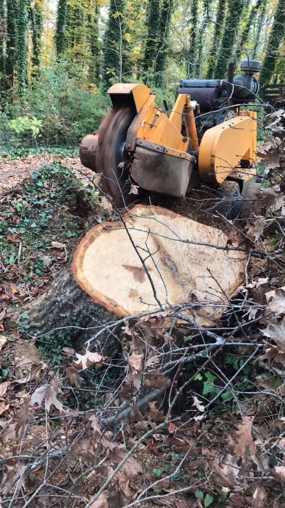 Affordable garden landscaping for beautiful yards in Greenville, SC by Grind-Time Stump Removal