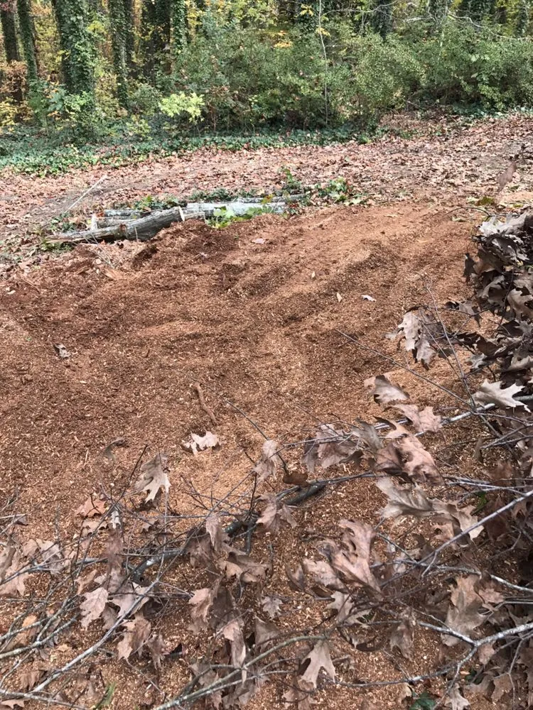 Custom garden landscaping in Greenville, SC - Grind-Time Stump Removal