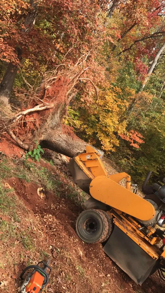 Affordable yard maintenance for residential properties in Greenville, SC by Grind-Time Stump Removal