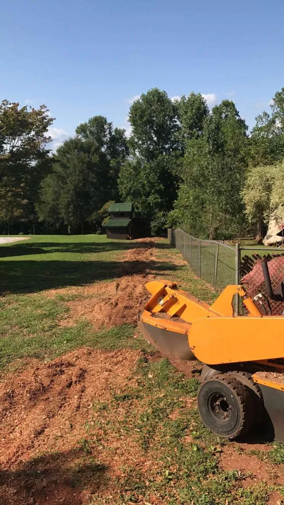 Local yard cleanup service in Greenville, SC by Grind-Time Stump Removal