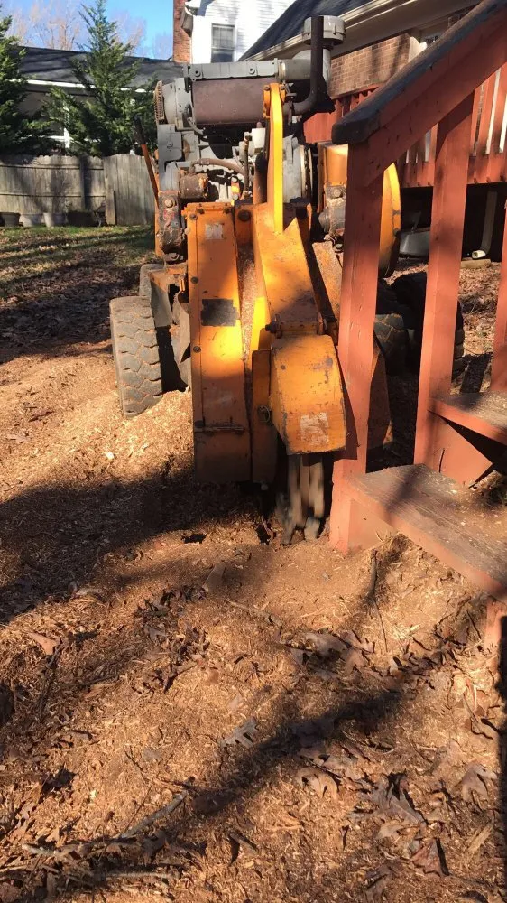 Affordable residential landscaping in Greenville, SC by Grind-Time Stump Removal