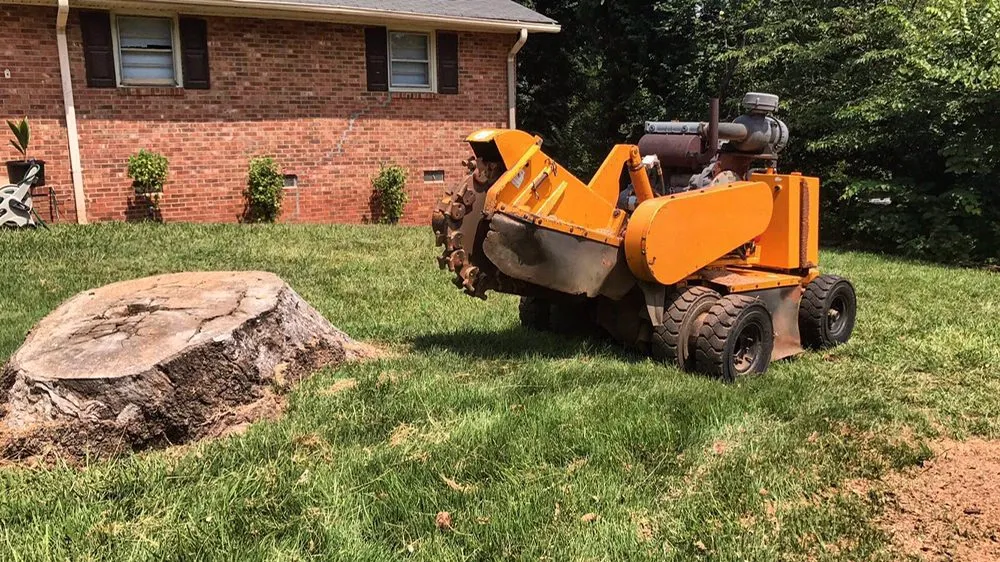 Expert outdoor landscaping for residential properties across Greenville, SC - Grind-Time Stump Removal