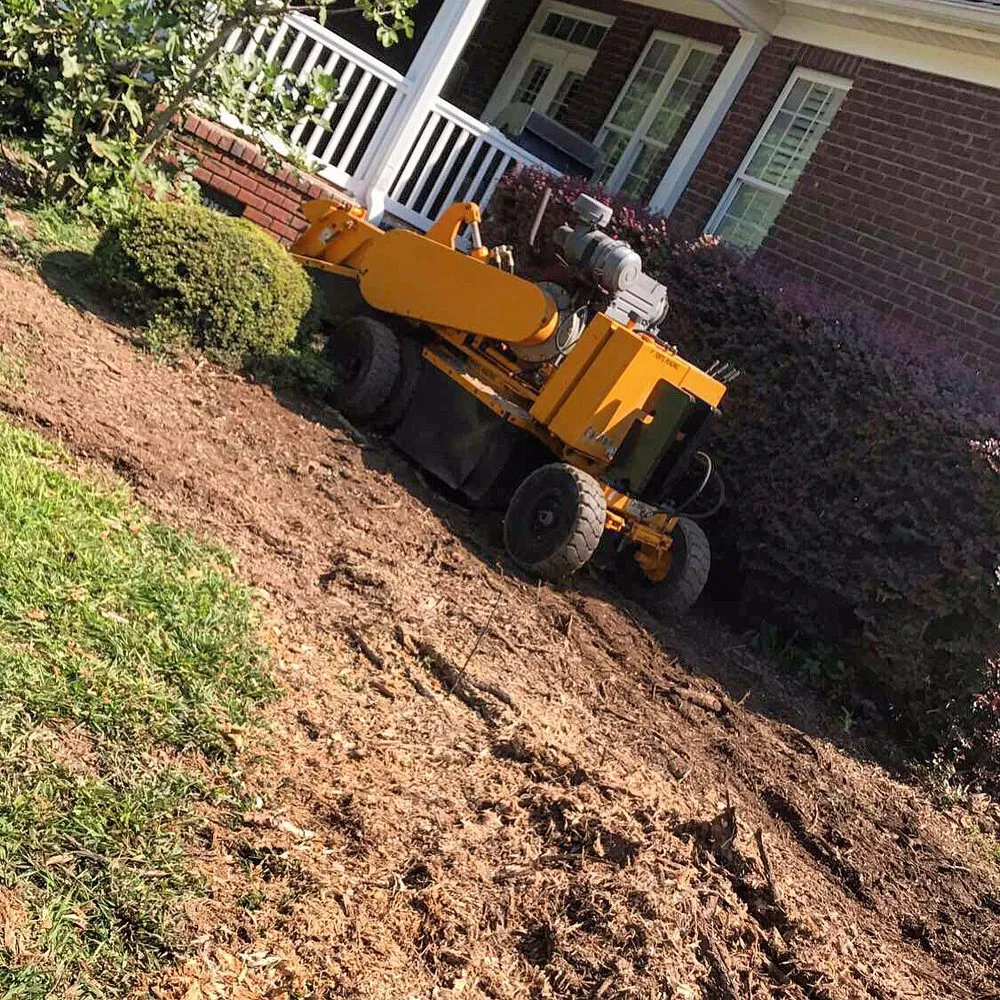 Professional yard cleanup service experts serving Greenville, SC - Grind-Time Stump Removal