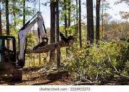 Professional garden landscaping for year-round maintenance across Lawrence, MA - Grind Tree And Land Services