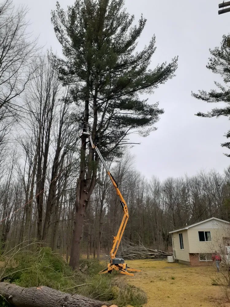 Affordable lawn mowing service in Gladwin, MI - Grinders Property Maintenance & Logistics