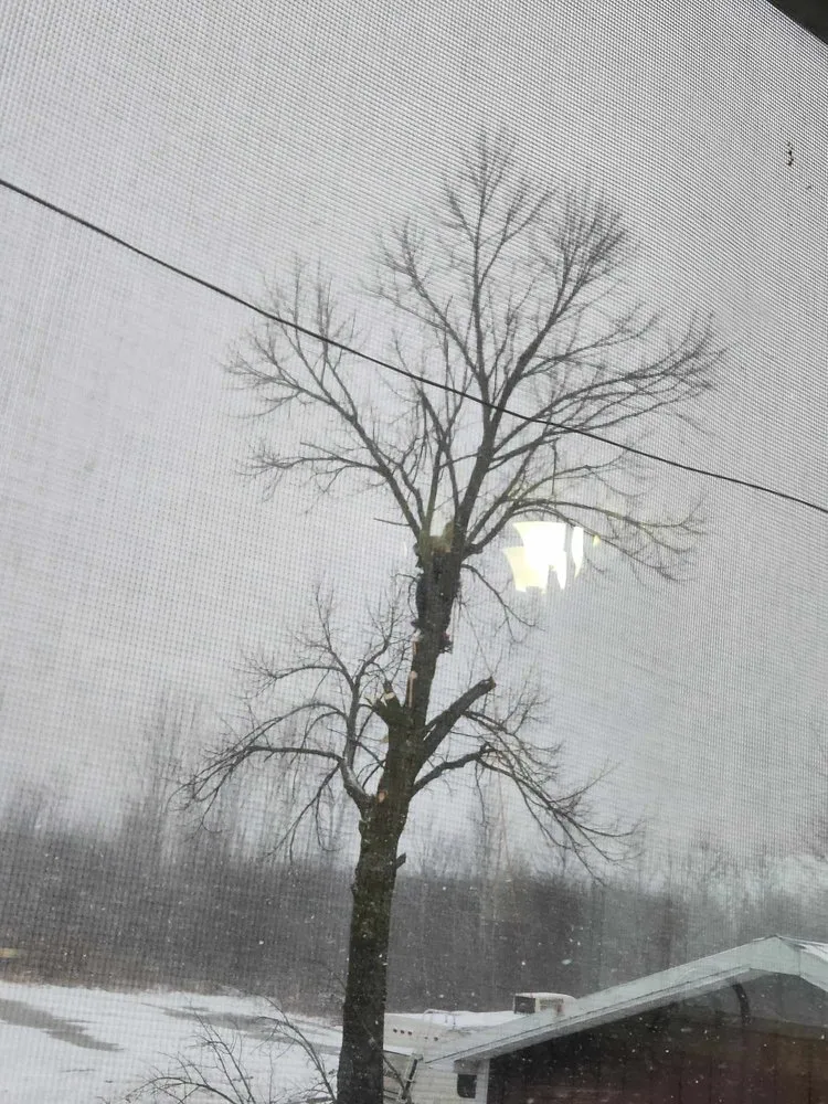 Local garden landscaping in Gladwin, MI - Grinders Property Maintenance & Logistics