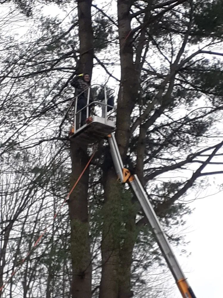 Local yard maintenance experts serving Gladwin, MI - Grinders Property Maintenance & Logistics