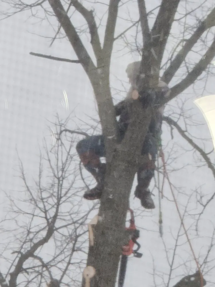 Trusted landscaping services in Gladwin, MI by Grinders Property Maintenance & Logistics