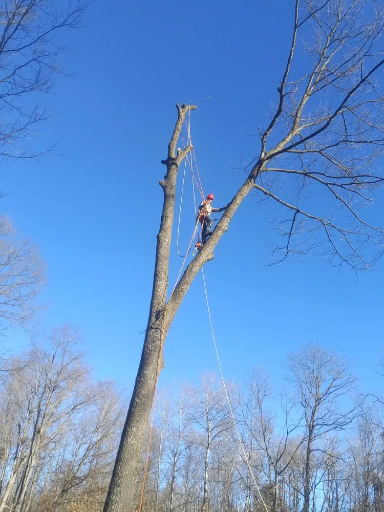 Reliable landscape design in Gladwin, MI - Grinders Property Maintenance & Logistics