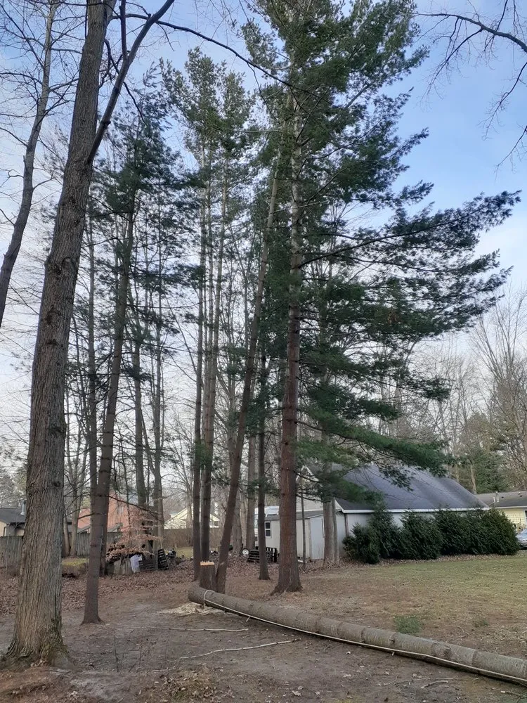 Affordable residential landscaping in Gladwin, MI by Grinders Property Maintenance & Logistics