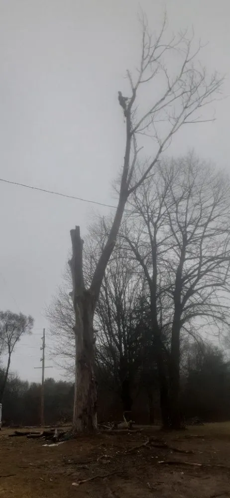 Top-rated garden landscaping experts serving Gladwin, MI - Grinders Property Maintenance & Logistics