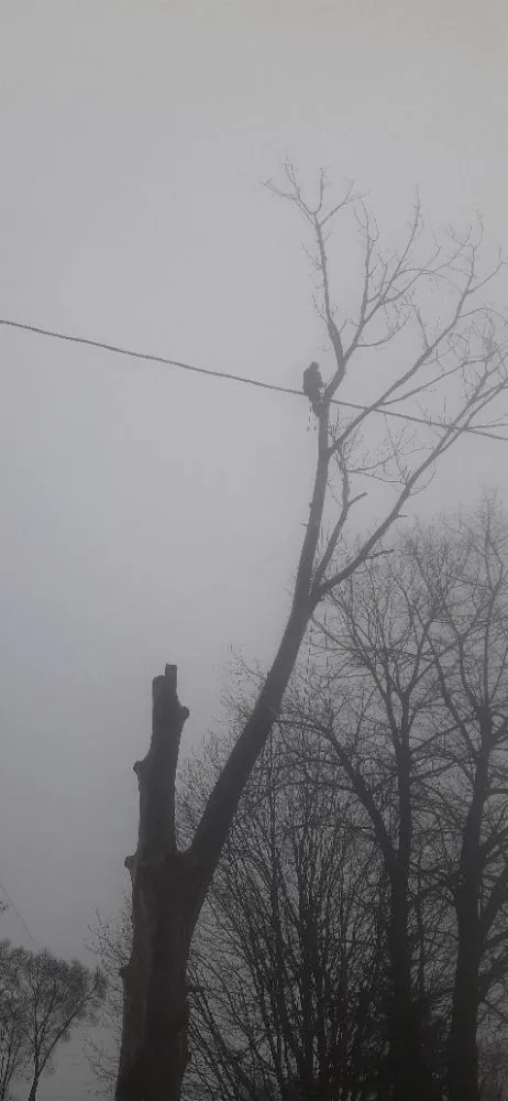 Custom garden landscaping for residential properties across Gladwin, MI - Grinders Property Maintenance & Logistics