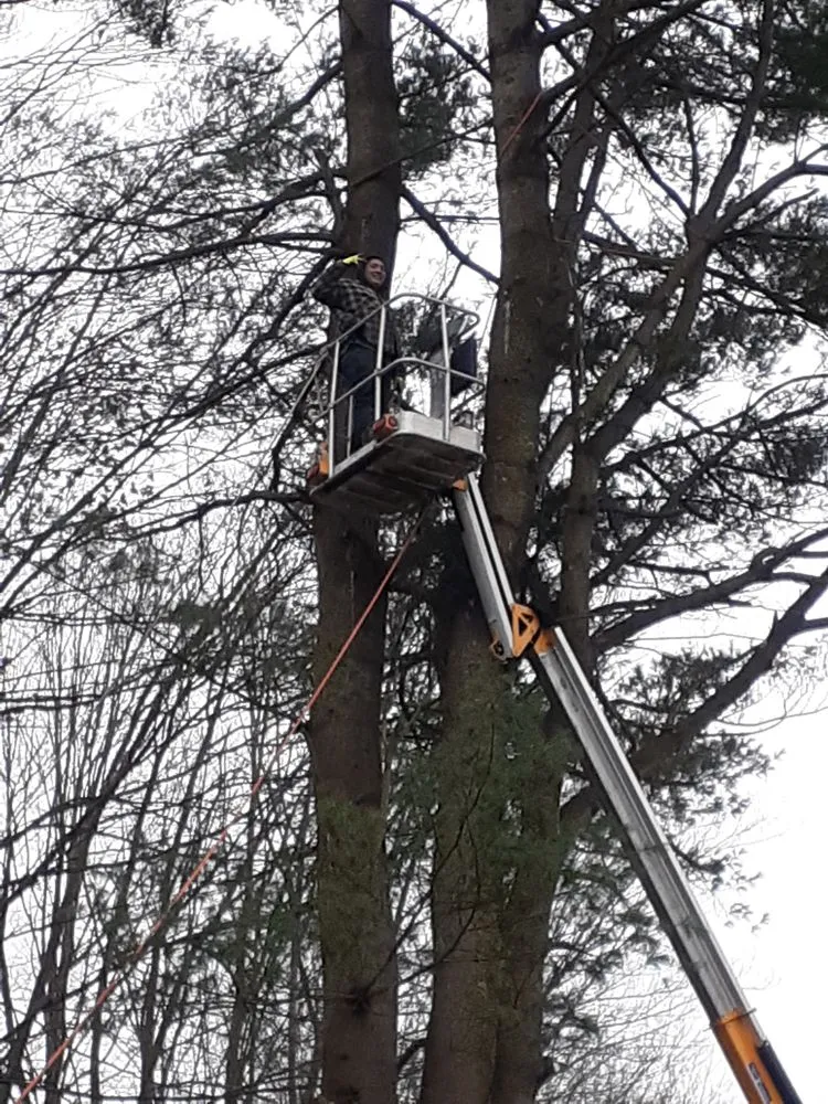 Top-rated landscape design experts serving Gladwin, MI - Grinders Property Maintenance & Logistics