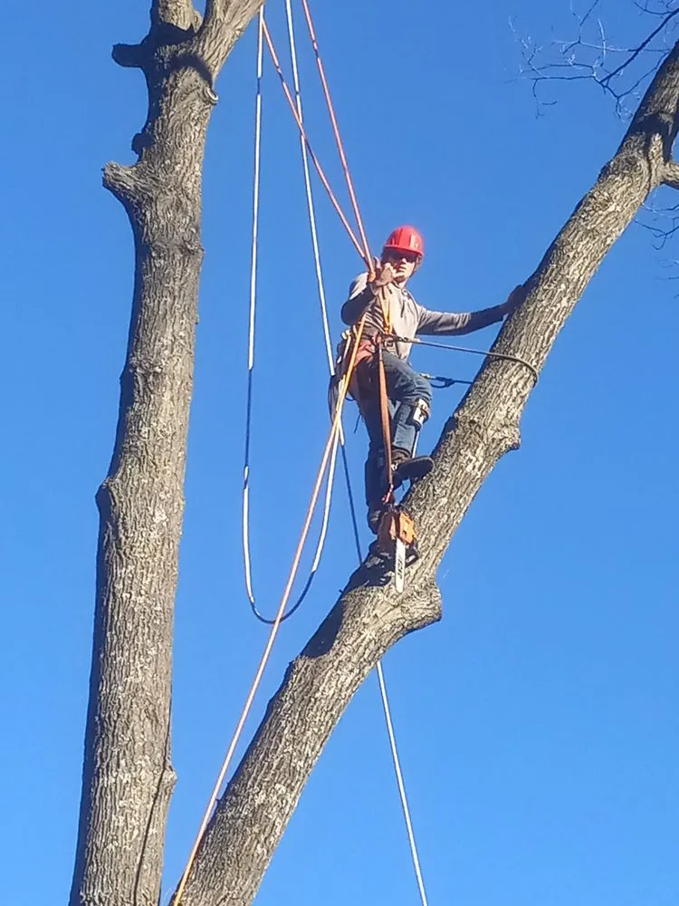 Professional residential landscaping for homes across Gladwin, MI - Grinders Property Maintenance & Logistics