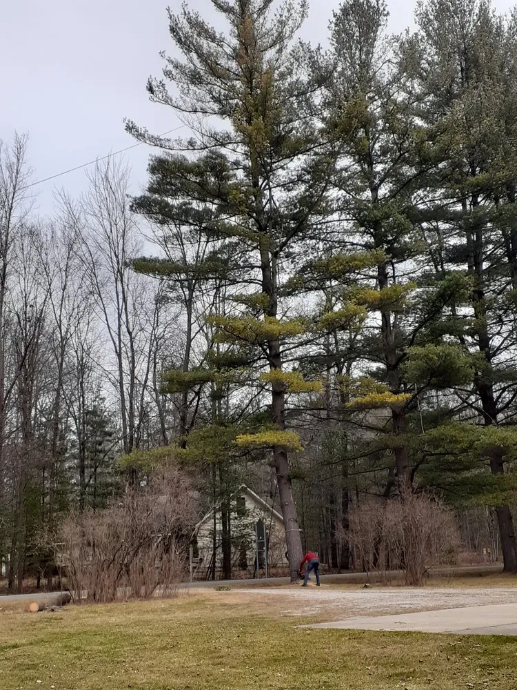 Custom landscape design experts serving Gladwin, MI - Grinders Property Maintenance & Logistics