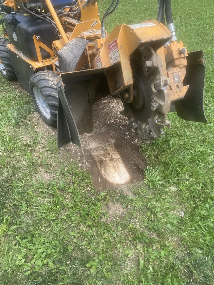 Professional lawn care service for homes in Fairfax, VT by Grinding Gears