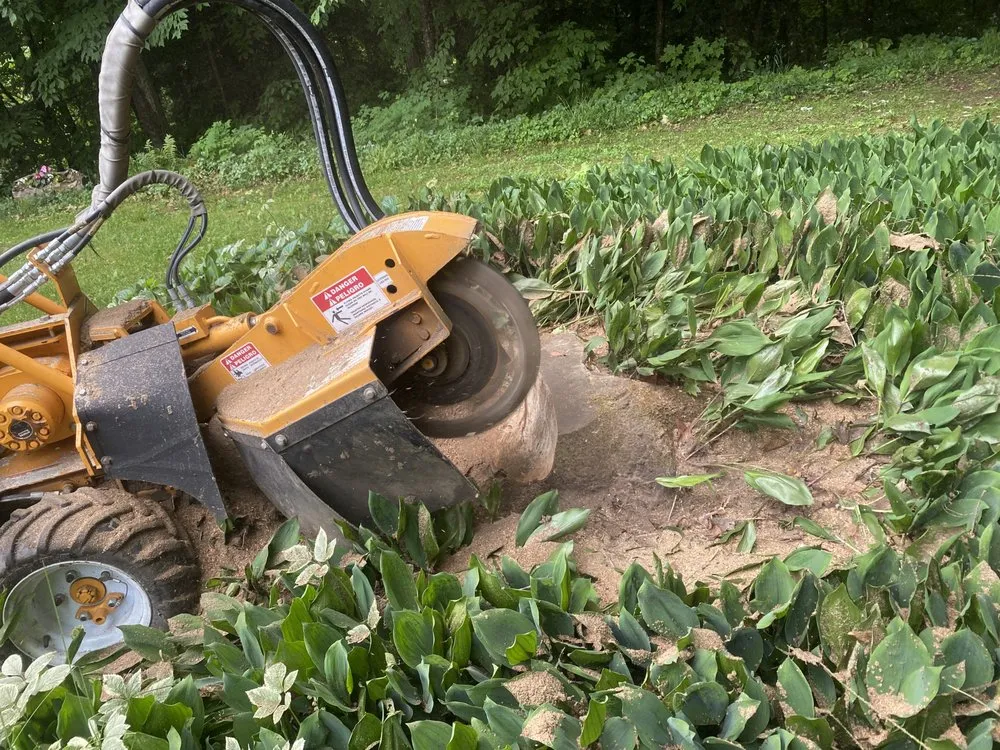 Affordable yard cleanup service experts serving Fairfax, VT - Grinding Gears