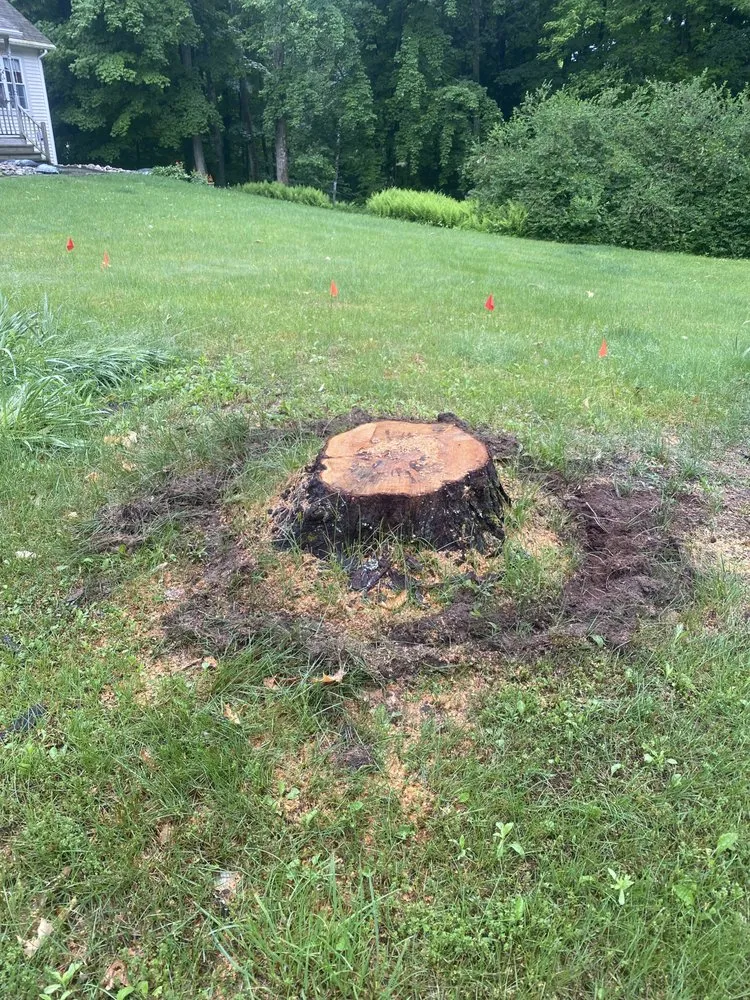 Trusted landscape design for residential properties in Fairfax, VT by Grinding Gears