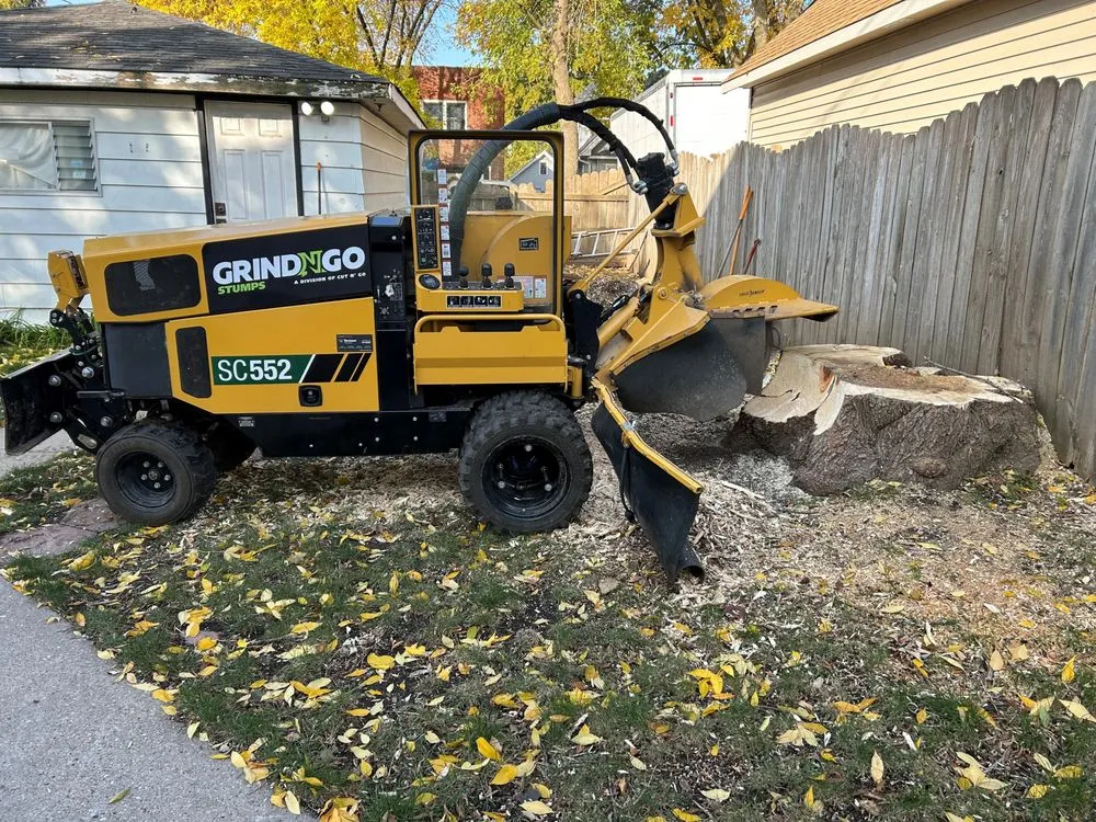 Professional landscaping services in Lannon, WI - GrindNGo Stumps