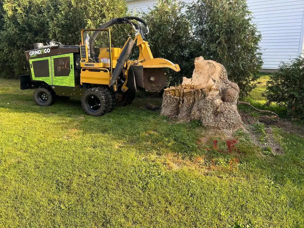 Top-rated residential landscaping near you across Lannon, WI - GrindNGo Stumps